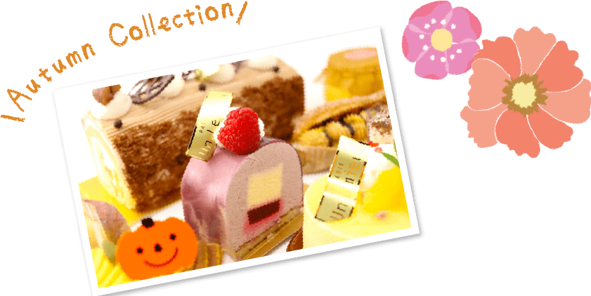 autumn collection